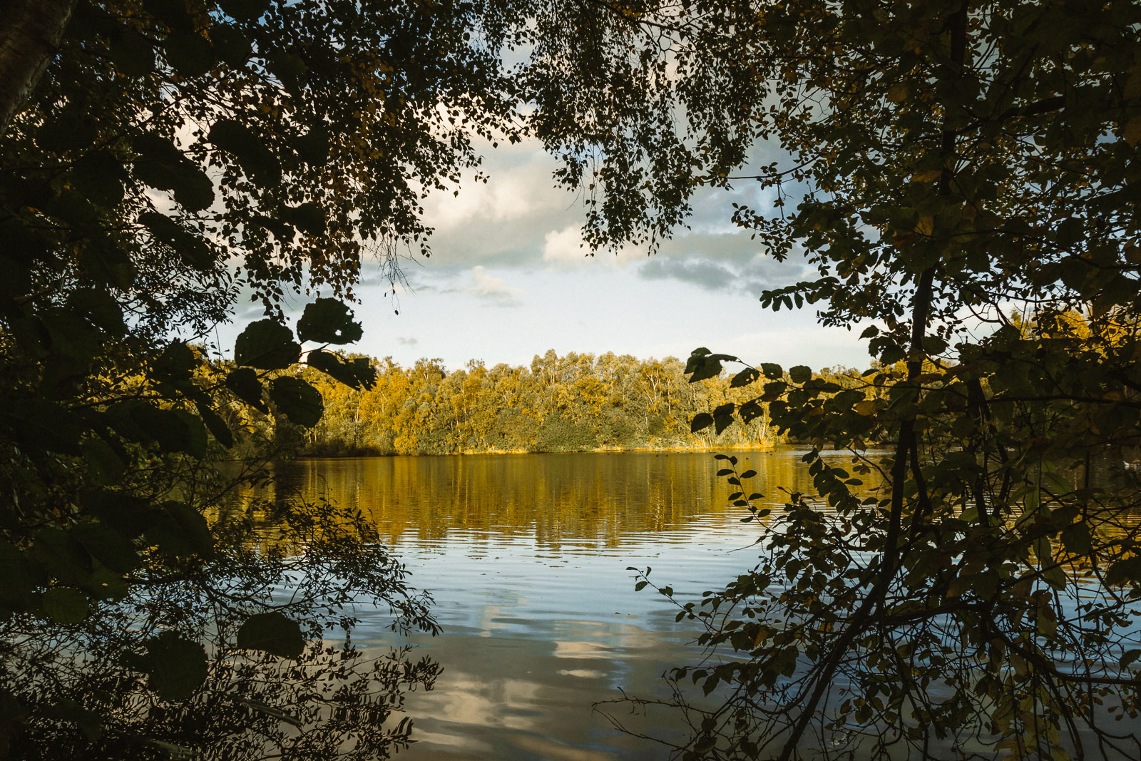 Water Reservoir in Holme Fen behind trees