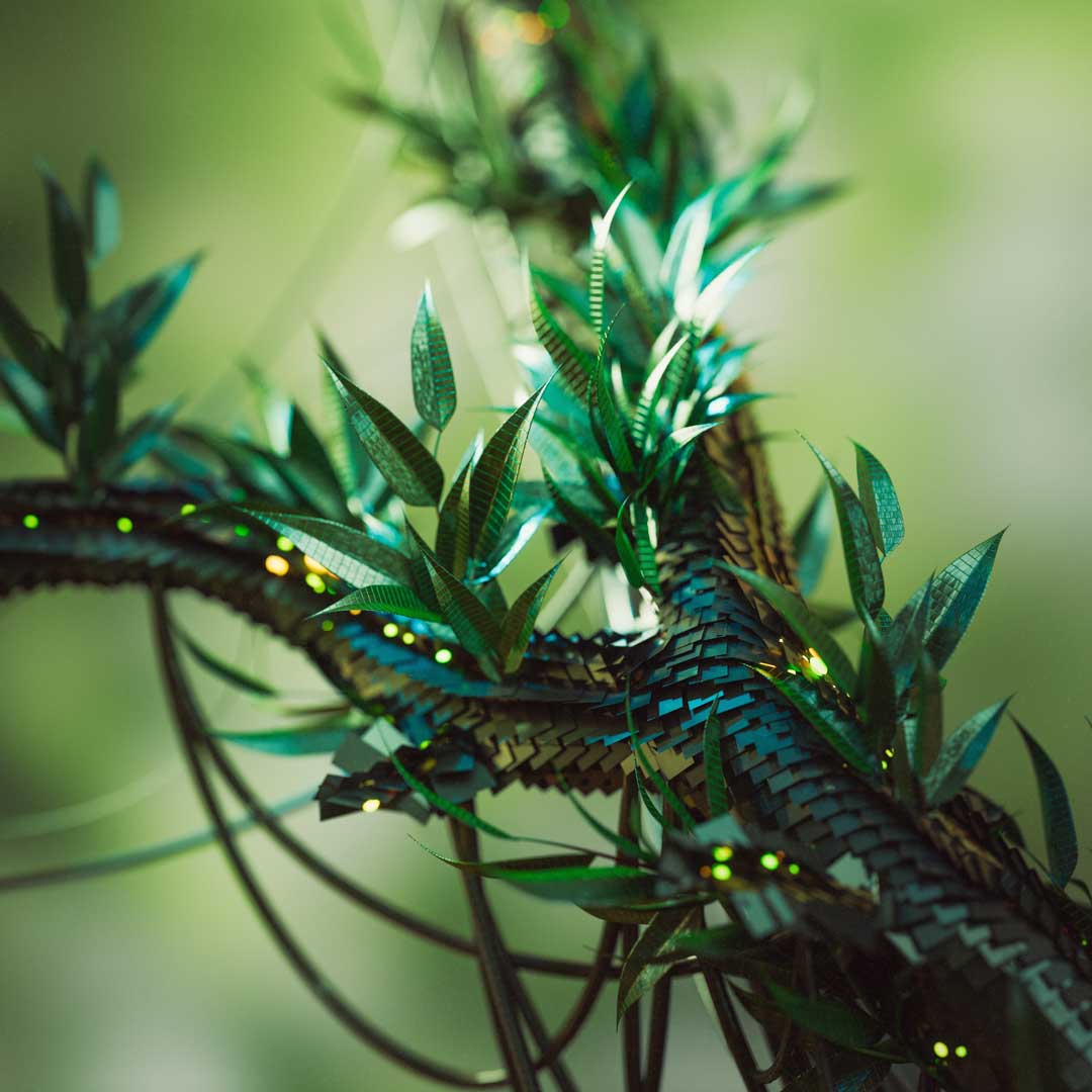 Darren_Tate_Metamorphosis