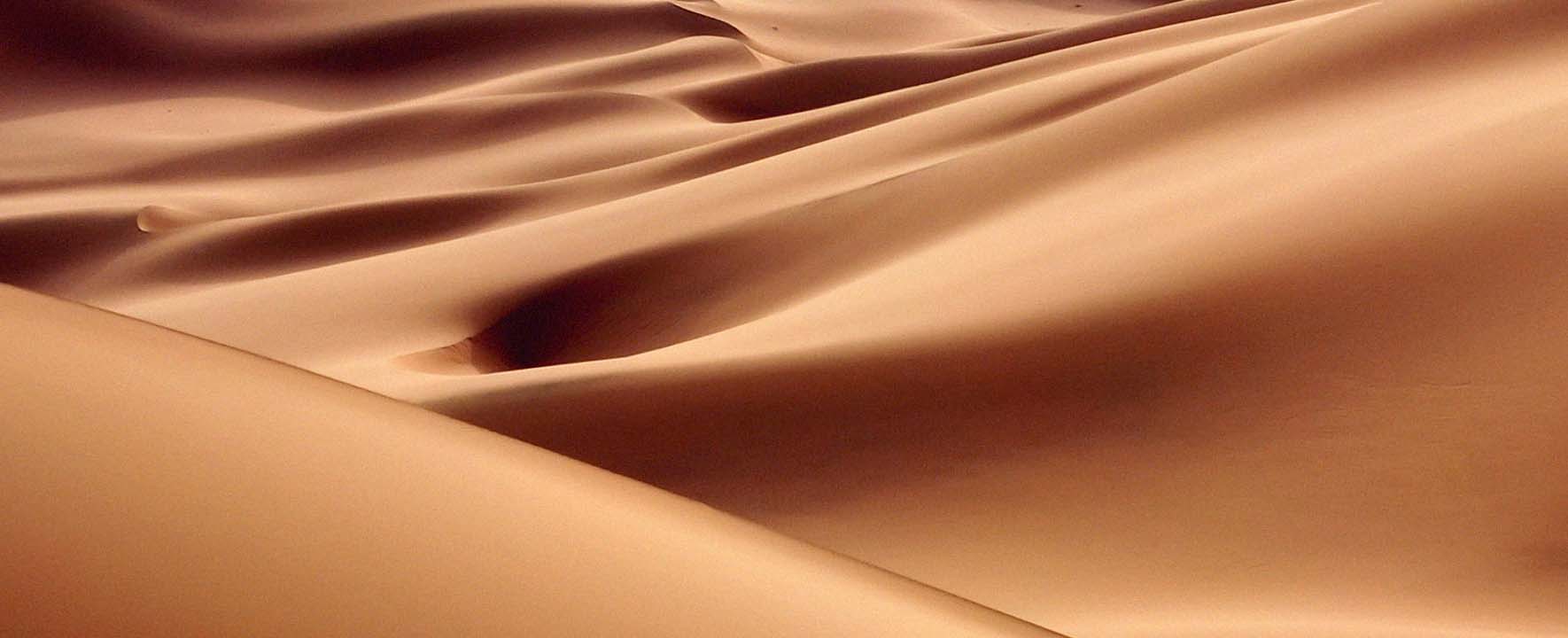 Sultan_+_Shepard_Endless_Dawn_Key_Art